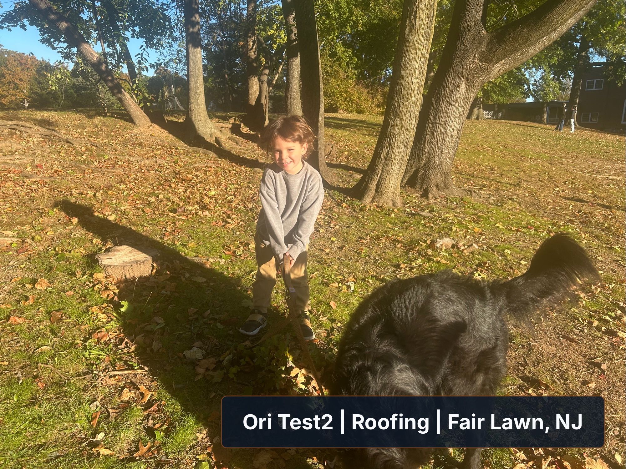 Roofing